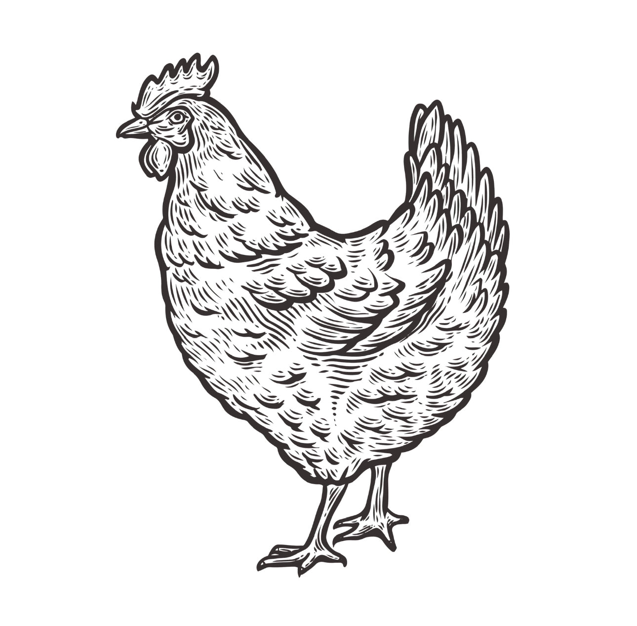 Aripi marinate de pui