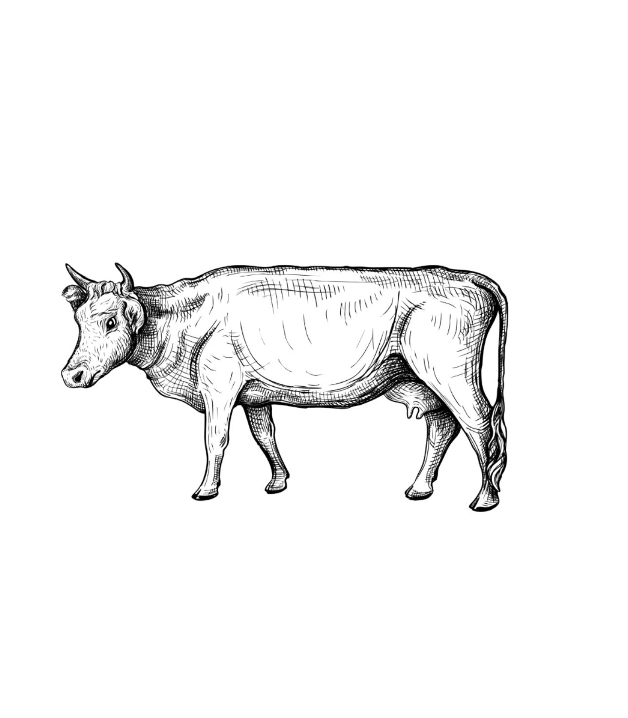 Produse din carne de Vita