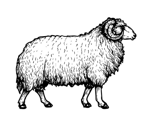 Pastramă de miel