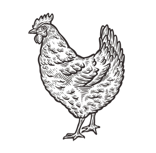 Aripi marinate de pui