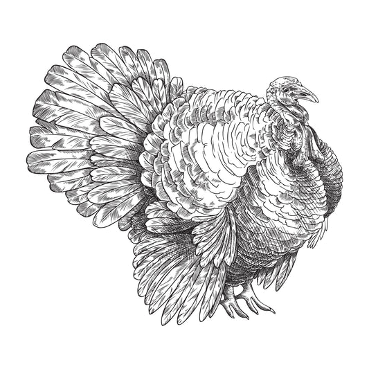 Piept de curcan