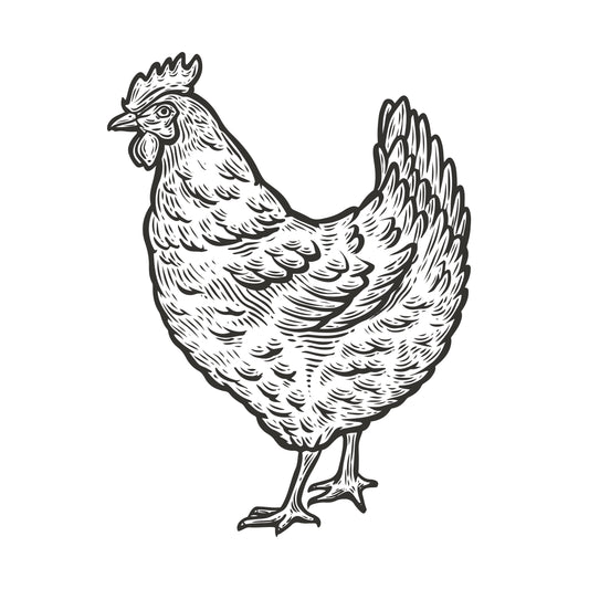 Piept de pui